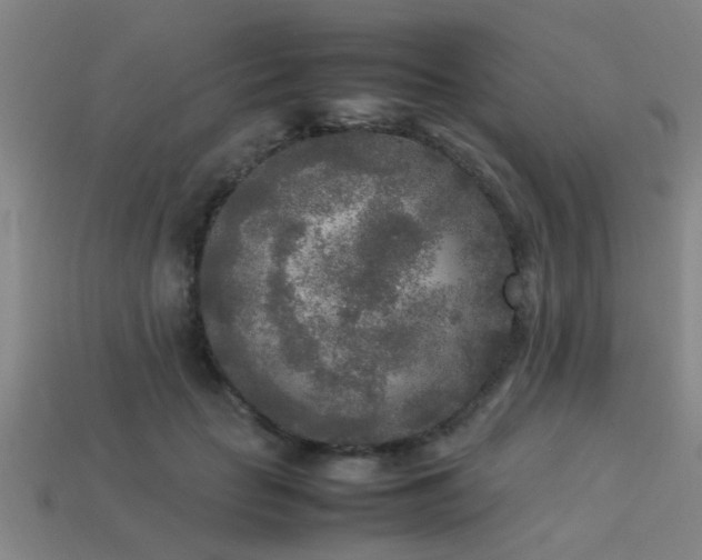 X0000113290653200909141206