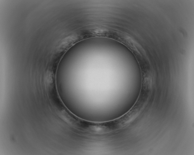 X0000113290654200909141206