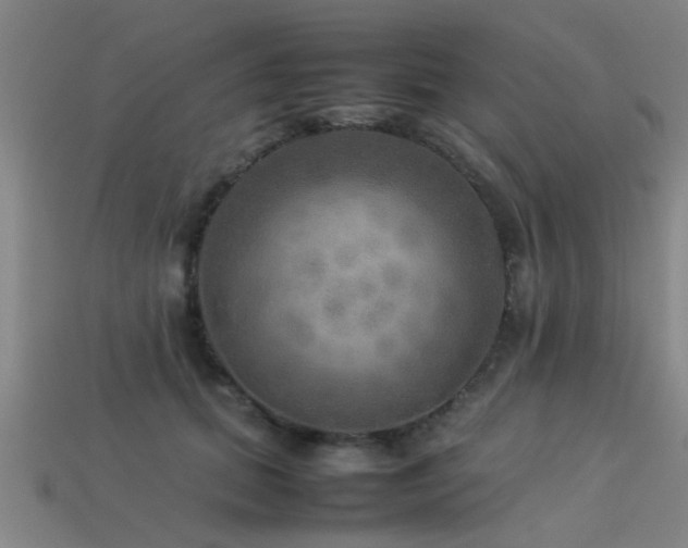 X0000113290655200909141206