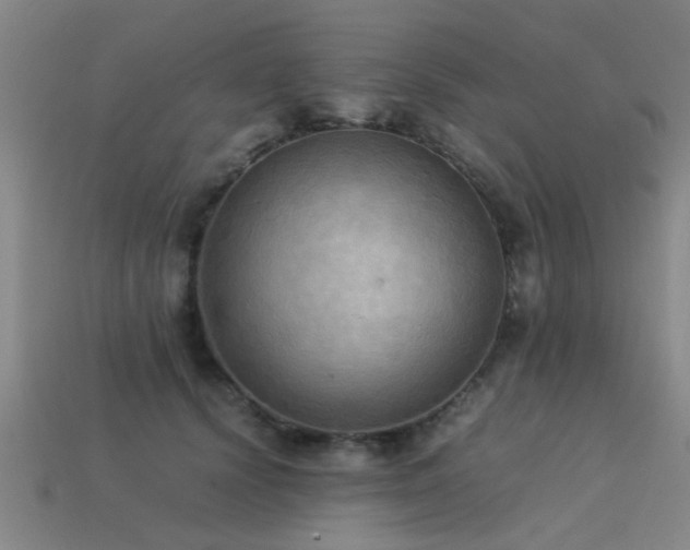 X0000113290656200909141206