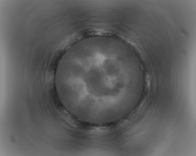 X0000113290657200909141206