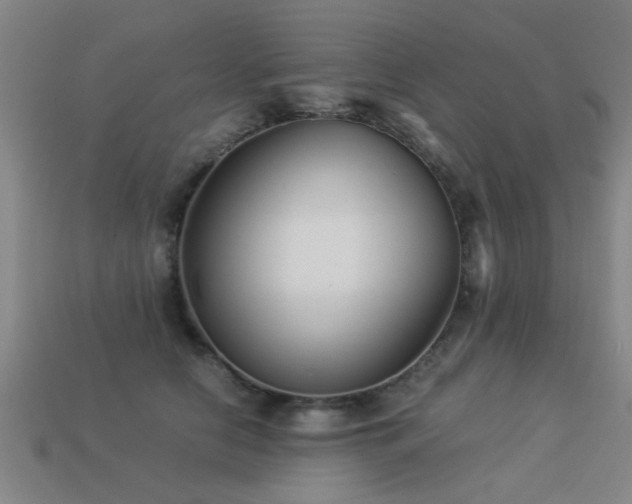 X0000113290658200909141206