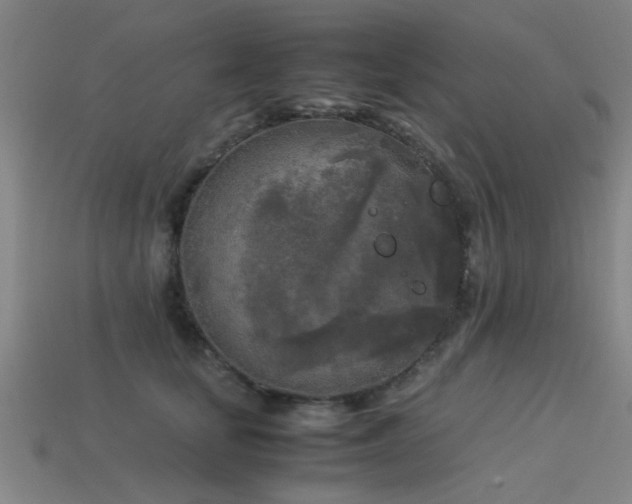 X0000113290659200909141206