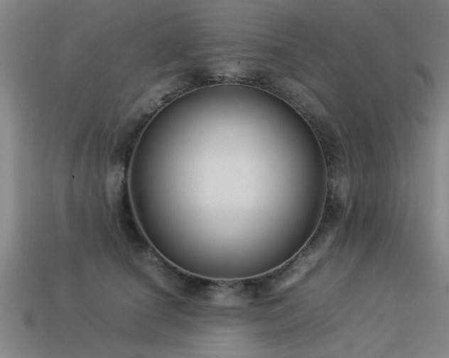 X0000113290660200909141206