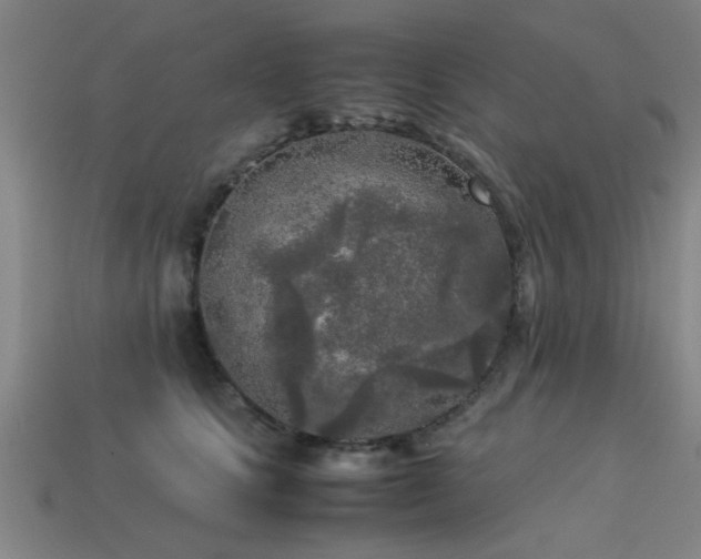 X0000113290661200909141206