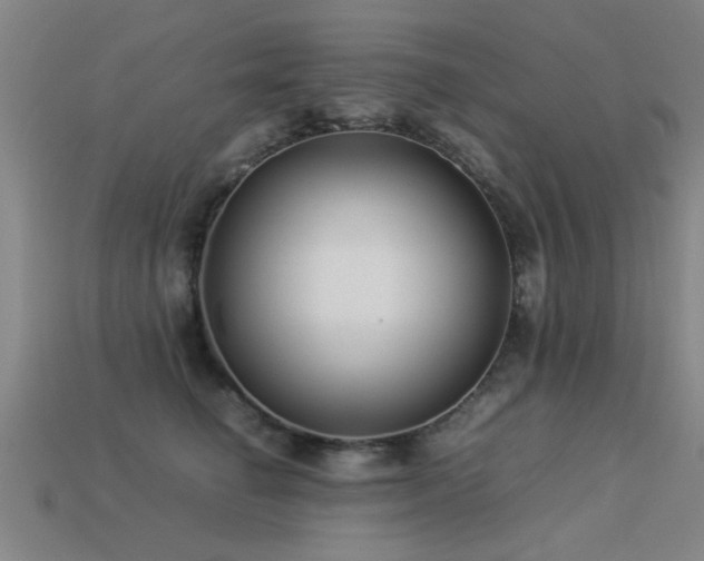 X0000113290662200909141206