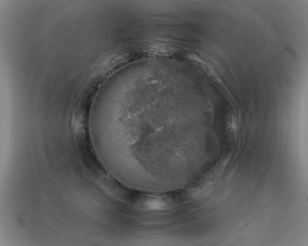 X0000113290663200909141206