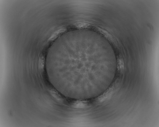 X0000113290664200909141206