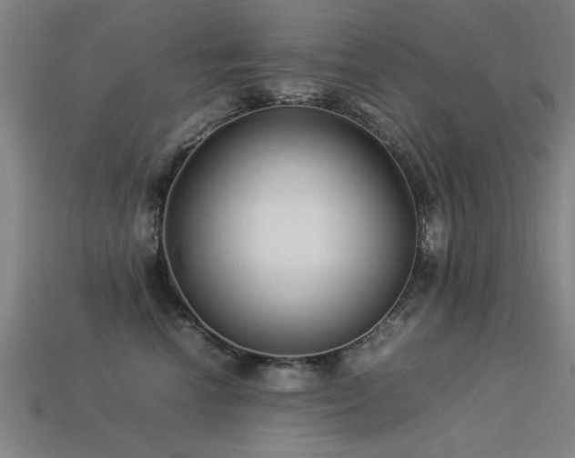 X0000113290666200909141206