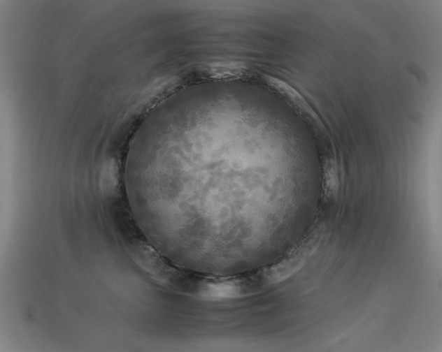 X0000113290667200909141206