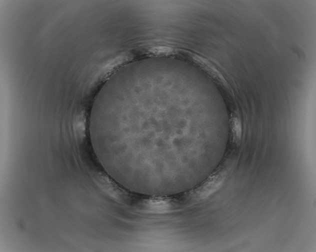 X0000113290668200909141206