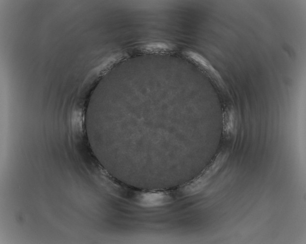 X0000113290669200909141206