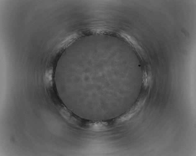 X0000113290670200909141206