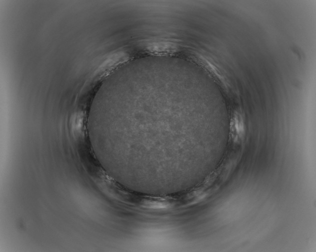 X0000113290671200909141206