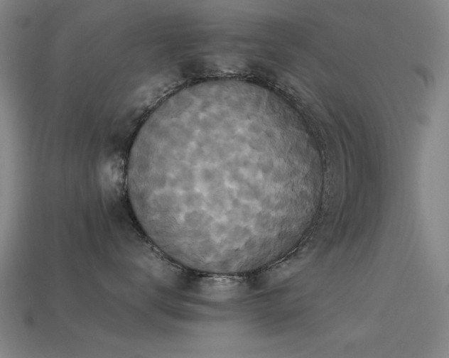 X0000113290672200909141206