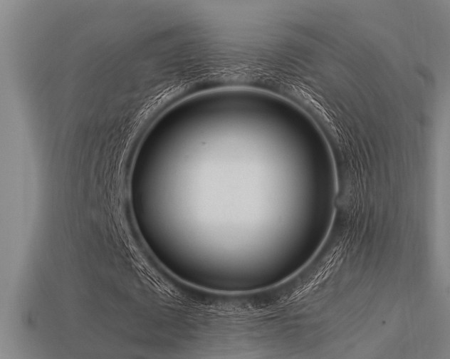 X0000113290673200909141205