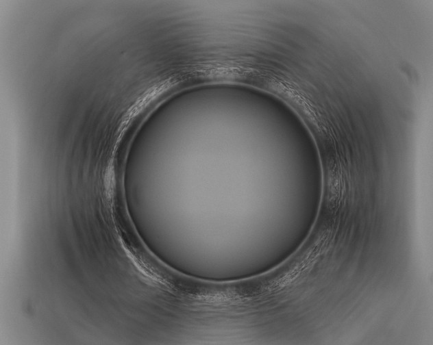 X0000113290674200909141205