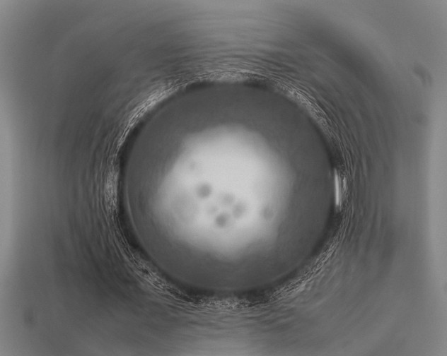 X0000113290675200909141205