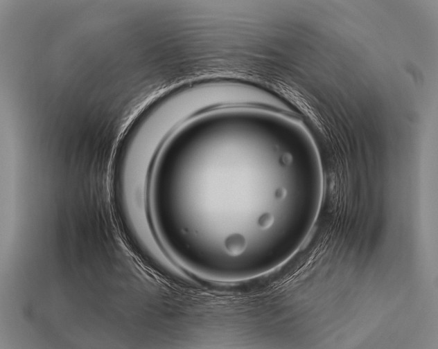 X0000113290676200909141205