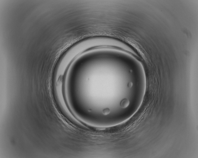 X0000113290677200909141205