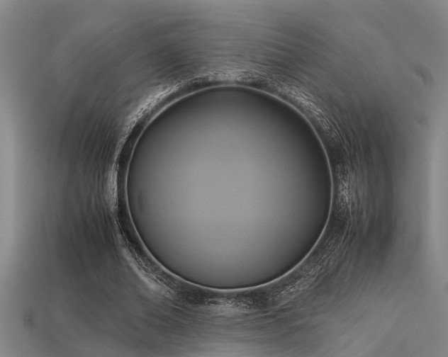 X0000113290678200909141205