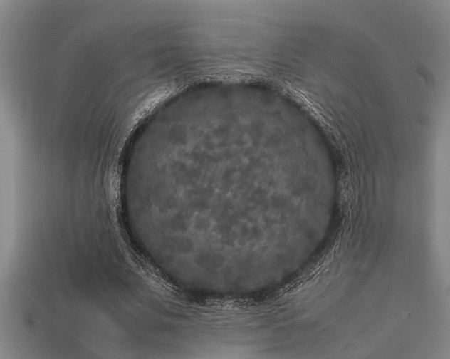 X0000113290679200909141205