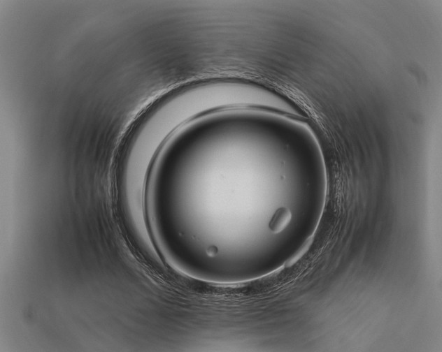 X0000113290680200909141205