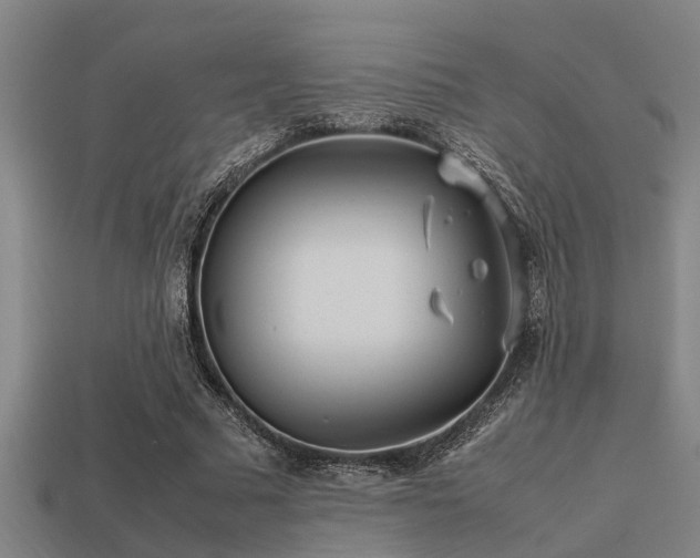 X0000113290681200909141205