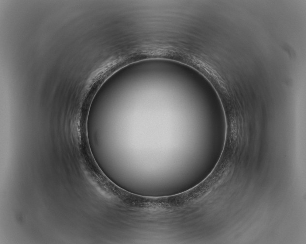 X0000113290682200909141205