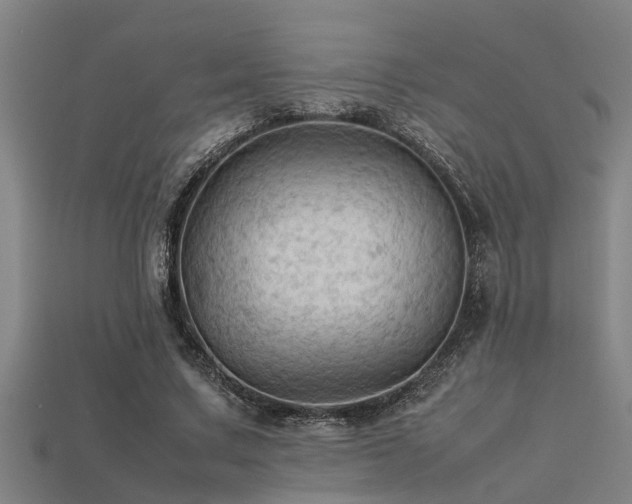 X0000113290683200909141205