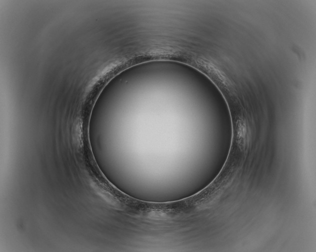 X0000113290684200909141205