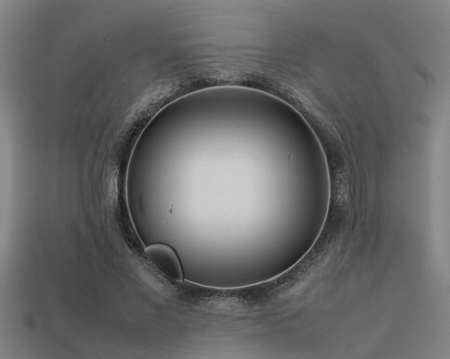 X0000113290685200909141205