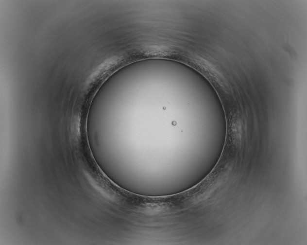 X0000113290686200909141205