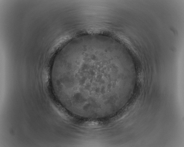 X0000113290687200909141205