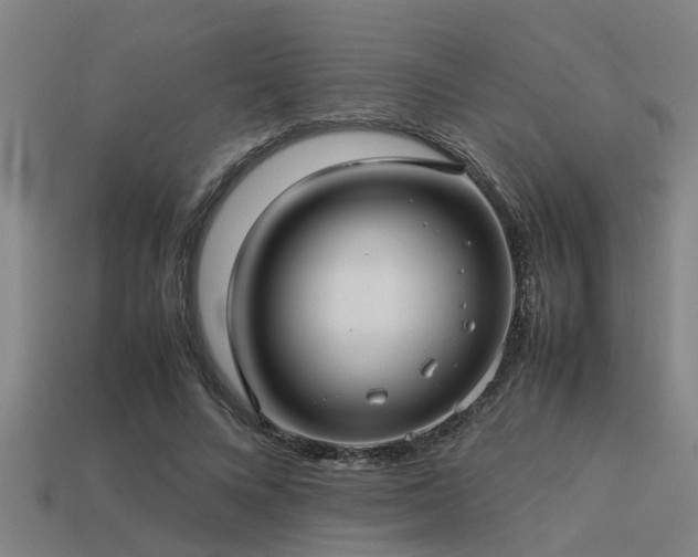 X0000113290688200909141205