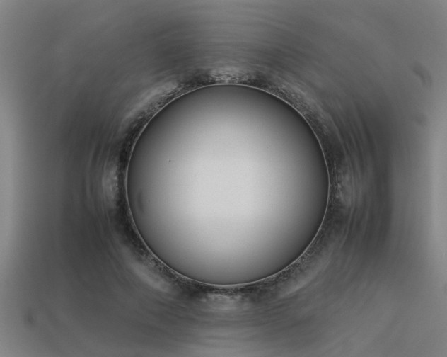 X0000113290690200909141205