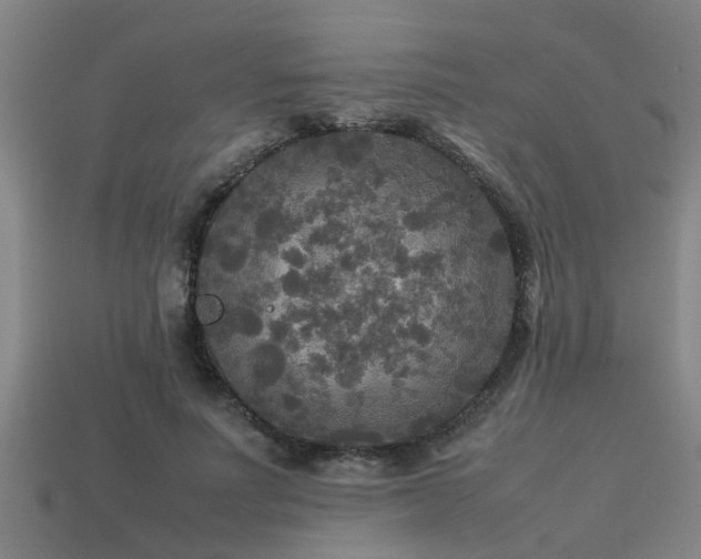 X0000113290691200909141205