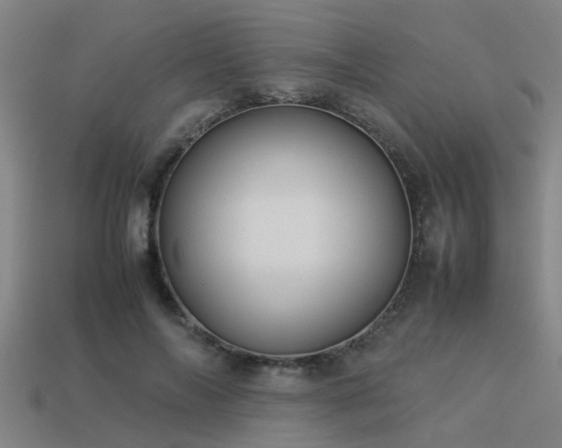 X0000113290694200909141205