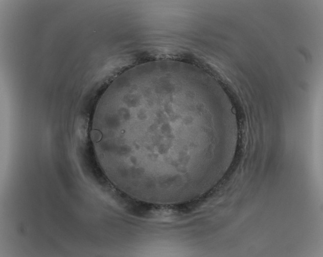 X0000113290695200909141205