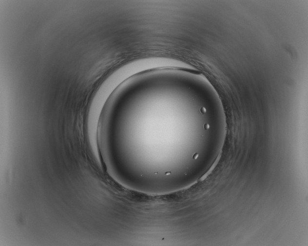 X0000113290696200909141205