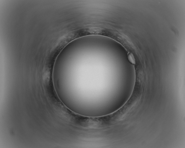 X0000113290697200909141205