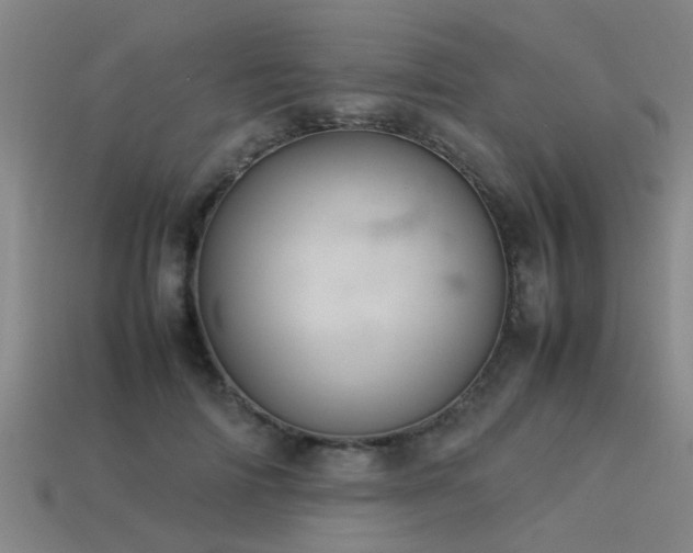 X0000113290698200909141205