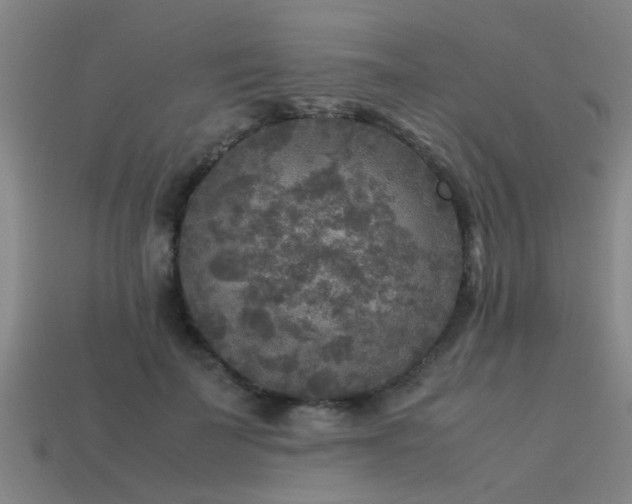 X0000113290699200909141205