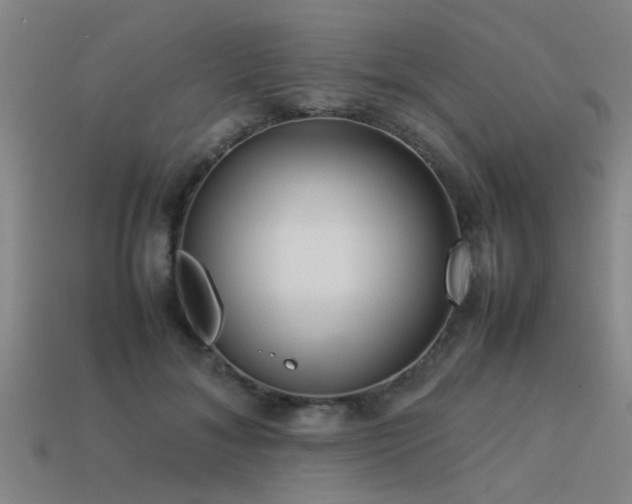 X0000113290700200909141205