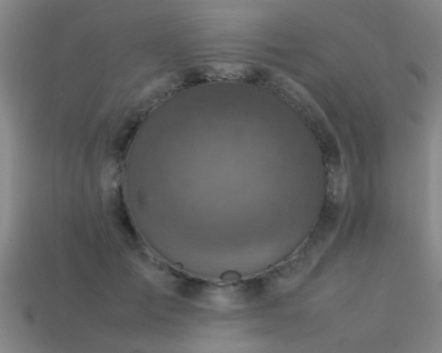 X0000113290701200909141205