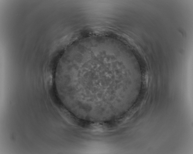 X0000113290703200909141205