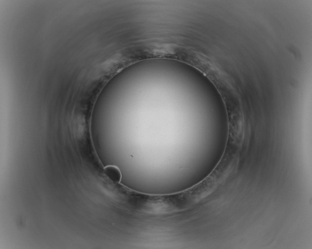 X0000113290704200909141205