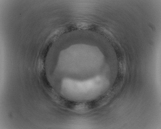 X0000113290705200909141205