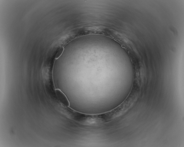 X0000113290708200909141205