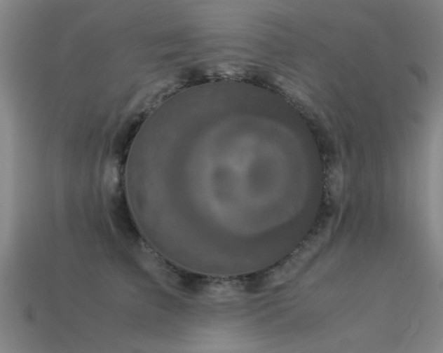 X0000113290709200909141204